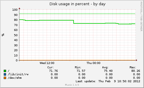Disk usage in percent